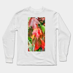 Randoms Cont'd Long Sleeve T-Shirt